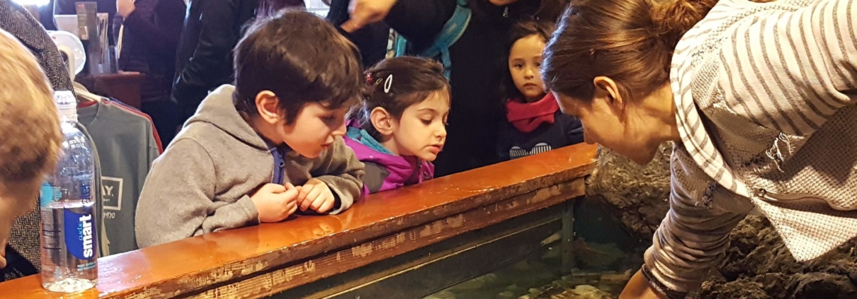 Newport Fun Tour for Kids