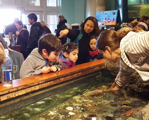 Newport Fun Tour for Kids