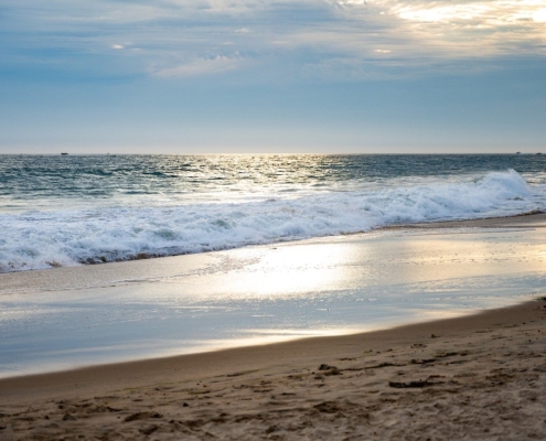 beach in newport tours experience