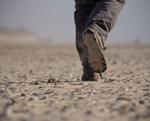 family fun in Newport