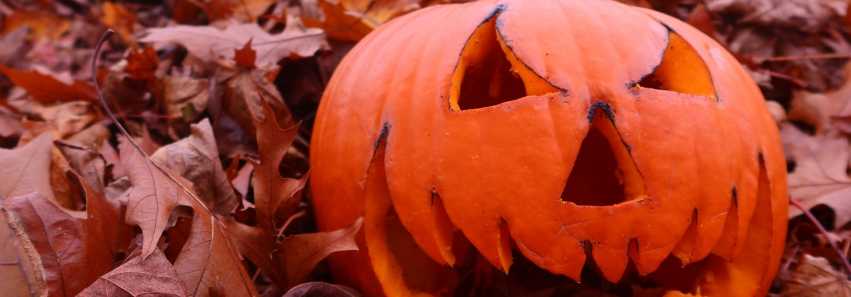 things to do in October