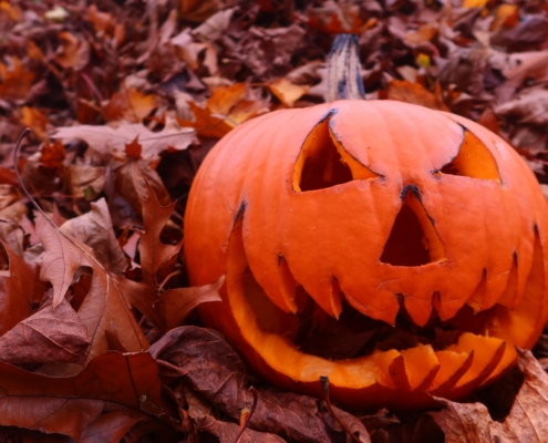 things to do in October